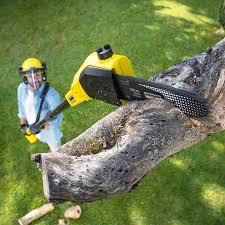 Best Lawn Watering Services  in Milton Freewater, OR