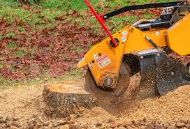 Professional Tree Care in Milton Freewater, OR